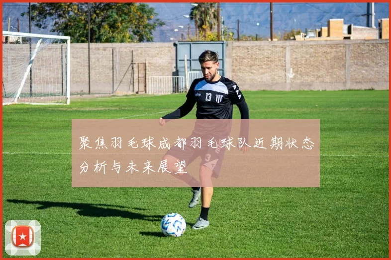 聚焦羽毛球成都羽毛球队近期状态分析与未来展望