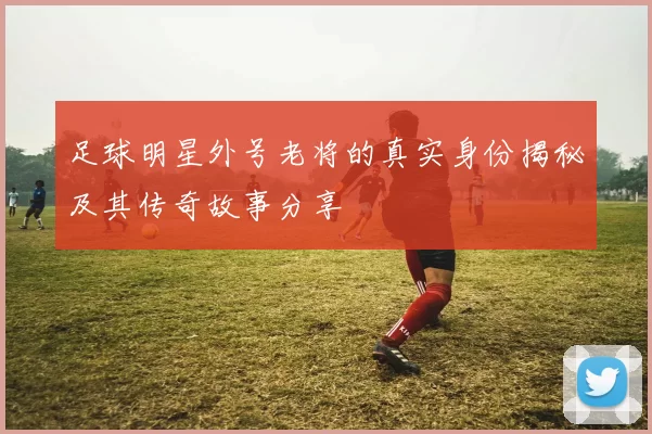 足球明星外号老将的真实身份揭秘及其传奇故事分享