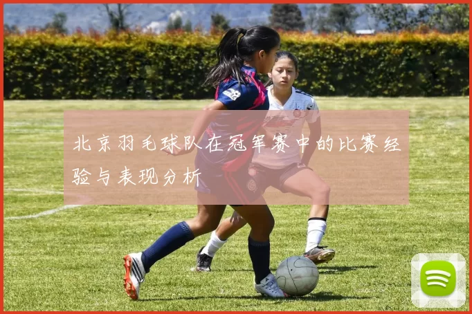北京羽毛球队在冠军赛中的比赛经验与表现分析