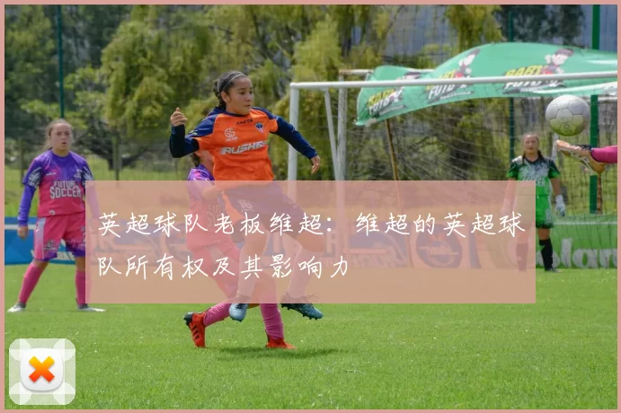 英超球队老板维超：维超的英超球队所有权及其影响力