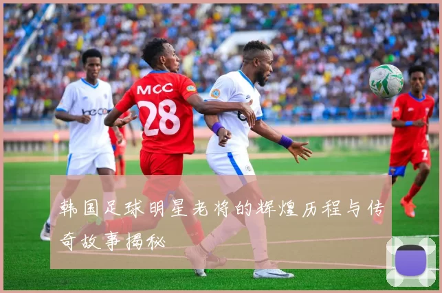 韩国足球明星老将的辉煌历程与传奇故事揭秘