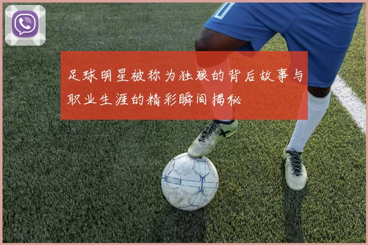 足球明星被称为独狼的背后故事与职业生涯的精彩瞬间揭秘