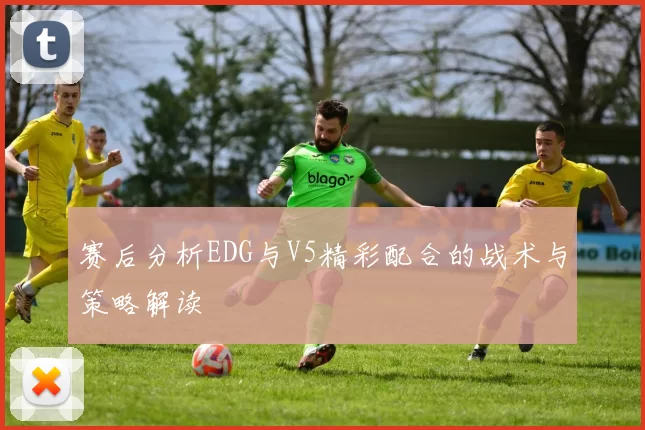 赛后分析EDG与V5精彩配合的战术与策略解读