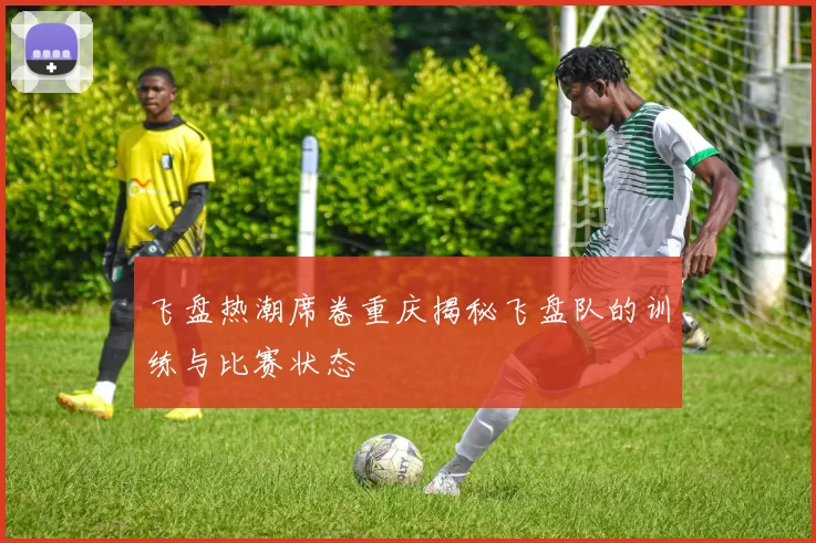 飞盘热潮席卷重庆揭秘飞盘队的训练与比赛状态