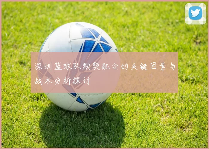 深圳篮球队默契配合的关键因素与战术分析探讨