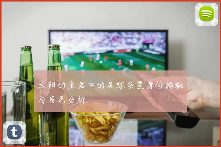太阳的主君中的足球明星身份揭秘与角色分析