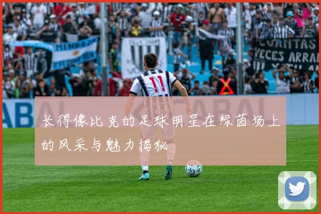 长得像比克的足球明星在绿茵场上的风采与魅力揭秘