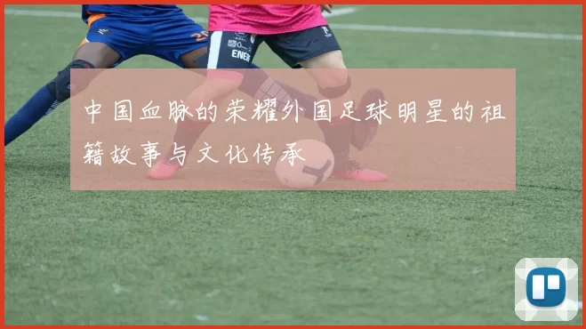 中国血脉的荣耀外国足球明星的祖籍故事与文化传承