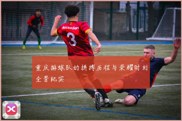 重庆排球队的拼搏历程与荣耀时刻全景纪实