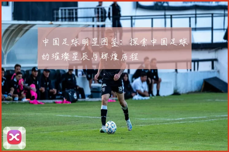中国足球明星图鉴：探索中国足球的璀璨星辰与辉煌历程