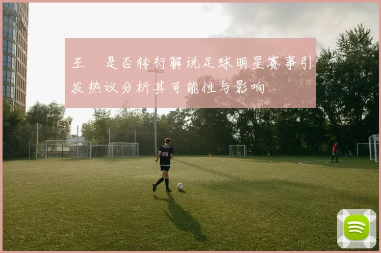 王濛是否转行解说足球明星赛事引发热议分析其可能性与影响