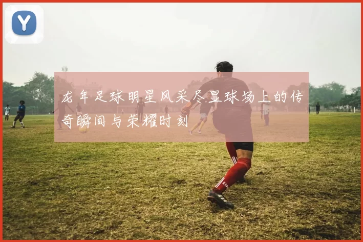龙年足球明星风采尽显球场上的传奇瞬间与荣耀时刻