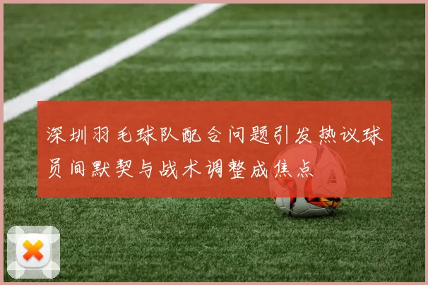 深圳羽毛球队配合问题引发热议球员间默契与战术调整成焦点