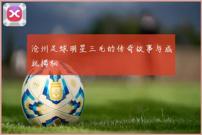 沧州足球明星三毛的传奇故事与成就揭秘