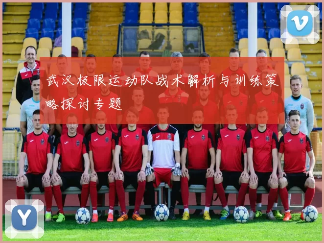 武汉极限运动队战术解析与训练策略探讨专题