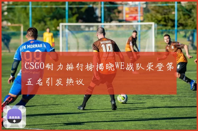 CSGO耐力排行榜揭晓WE战队荣登第五名引发热议