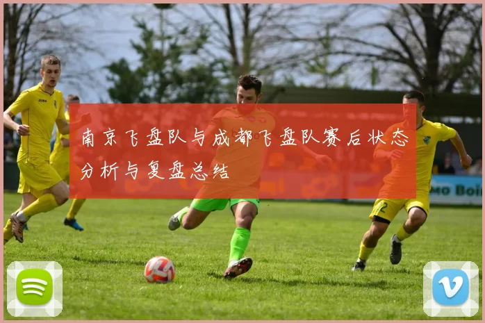 南京飞盘队与成都飞盘队赛后状态分析与复盘总结
