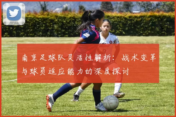 南京足球队灵活性解析：战术变革与球员适应能力的深度探讨