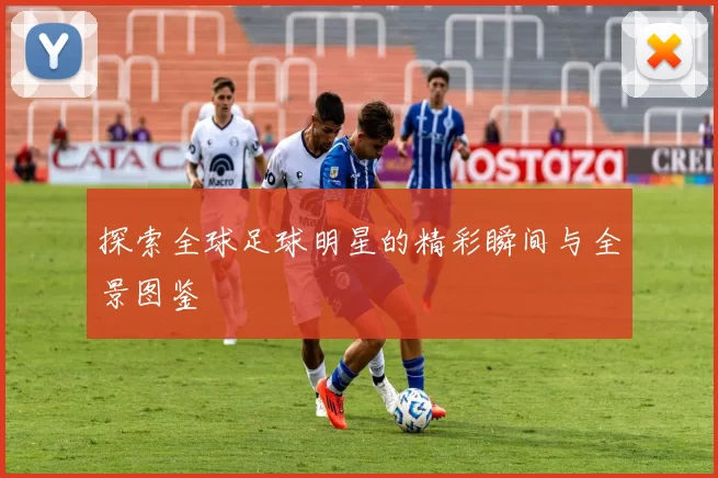 探索全球足球明星的精彩瞬间与全景图鉴