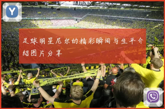 足球明星尼尔的精彩瞬间与生平介绍图片分享