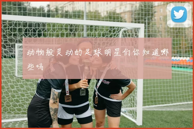 动物般灵动的足球明星们你知道哪些吗