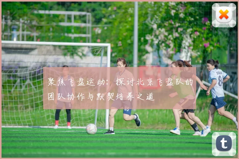 聚焦飞盘运动：探讨北京飞盘队的团队协作与默契培养之道