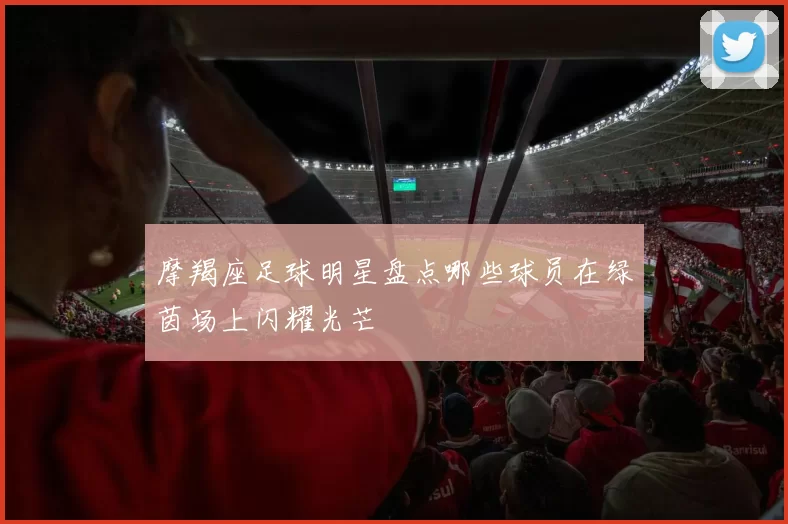 摩羯座足球明星盘点哪些球员在绿茵场上闪耀光芒