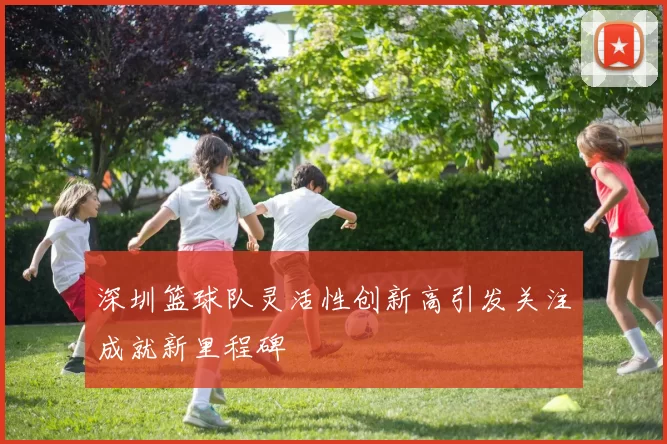 深圳篮球队灵活性创新高引发关注成就新里程碑