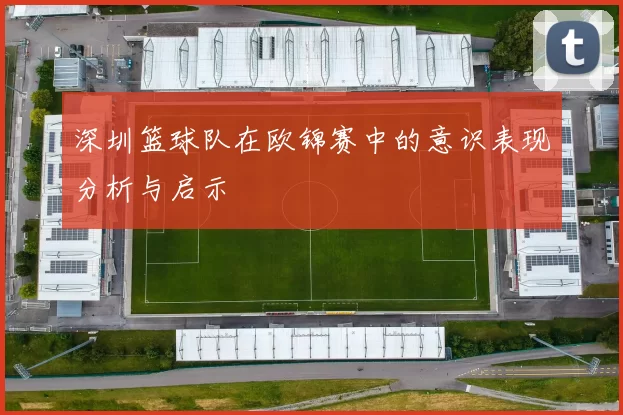 深圳篮球队在欧锦赛中的意识表现分析与启示