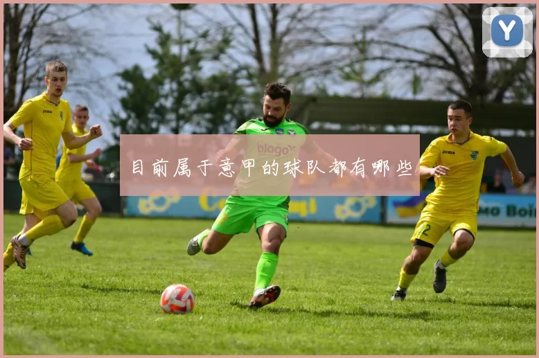 目前属于意甲的球队都有哪些