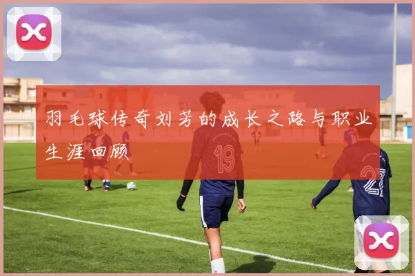 羽毛球传奇刘芳的成长之路与职业生涯回顾