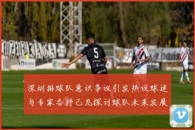 深圳排球队意识争议引发热议球迷与专家各抒己见探讨球队未来发展
