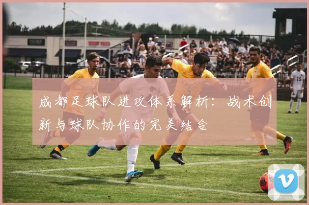 成都足球队进攻体系解析：战术创新与球队协作的完美结合