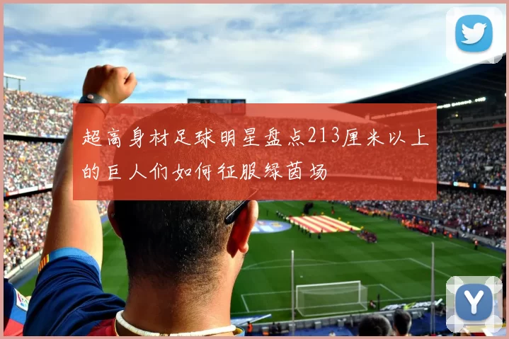 超高身材足球明星盘点213厘米以上的巨人们如何征服绿茵场