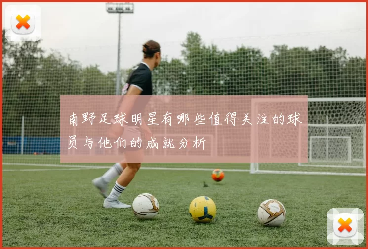 南野足球明星有哪些值得关注的球员与他们的成就分析