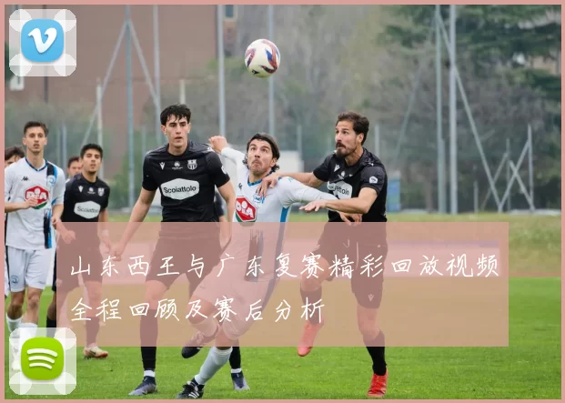 山东西王与广东复赛精彩回放视频全程回顾及赛后分析