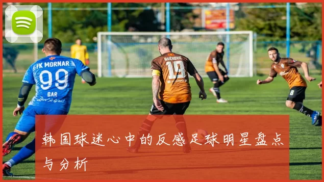 韩国球迷心中的反感足球明星盘点与分析
