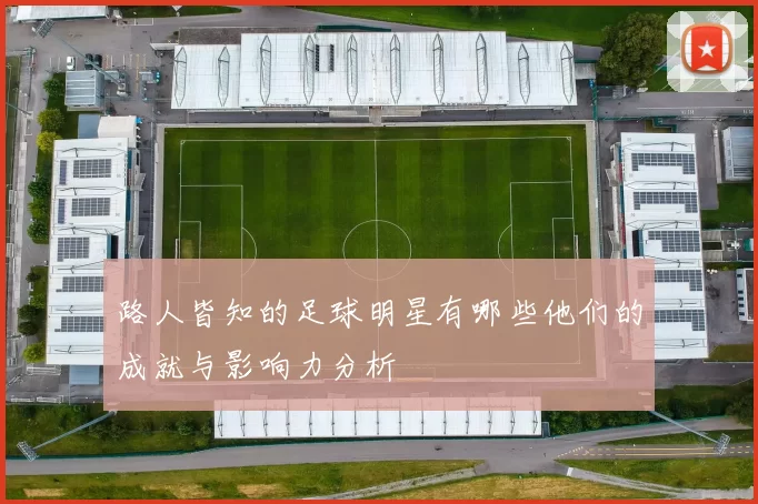 路人皆知的足球明星有哪些他们的成就与影响力分析