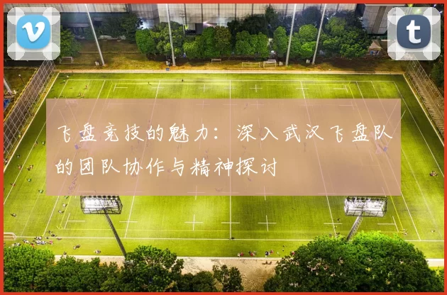 飞盘竞技的魅力：深入武汉飞盘队的团队协作与精神探讨