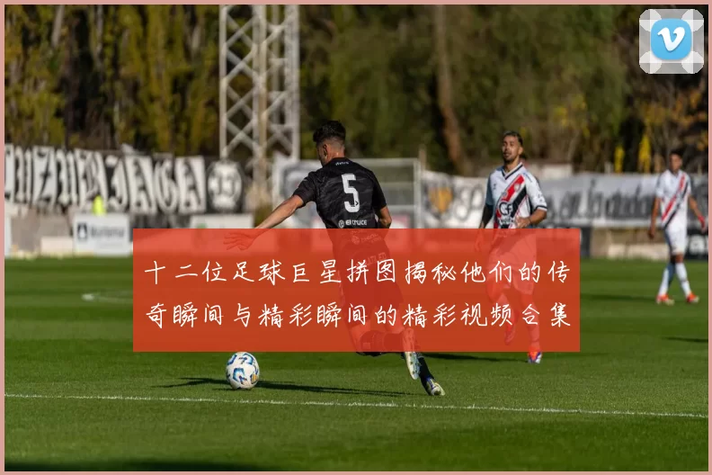 十二位足球巨星拼图揭秘他们的传奇瞬间与精彩瞬间的精彩视频合集
