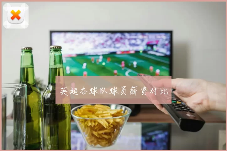 英超各球队球员薪资对比