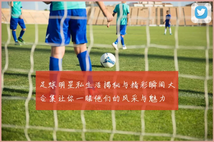 足球明星私生活揭秘与精彩瞬间大合集让你一睹他们的风采与魅力