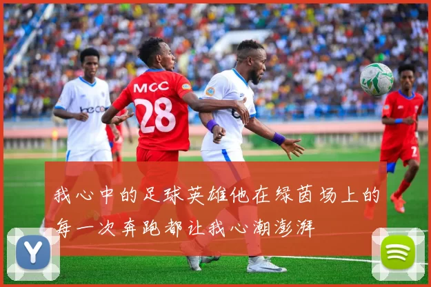 我心中的足球英雄他在绿茵场上的每一次奔跑都让我心潮澎湃