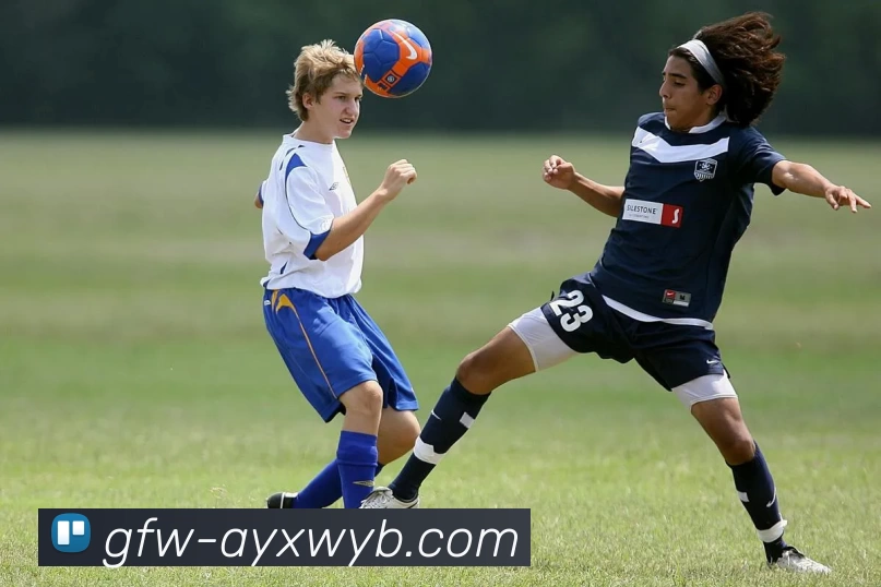 多媒体互动体验